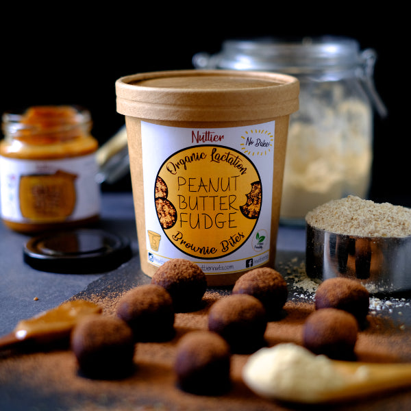 Nuttier Organic Lactation Peanut Butter Fudge Brownie Bites Crafted in Singapore Vegan Friendly